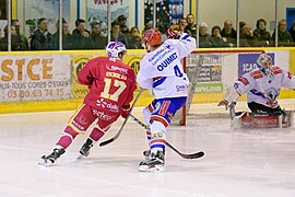 Match de hockey sur glace Dijon-Lyon - Ligue Magnus - Poule de Maintien