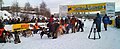 競技前の健康診断を受ける橇犬たち（ユーコン・クエスト2009年）
