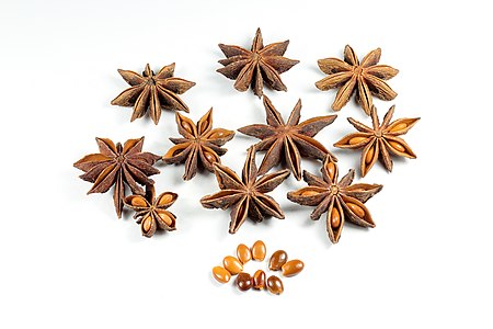 Dried Star Anise Fruit Seeds