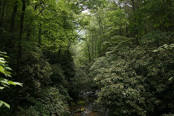 Headwaters of the East Fork