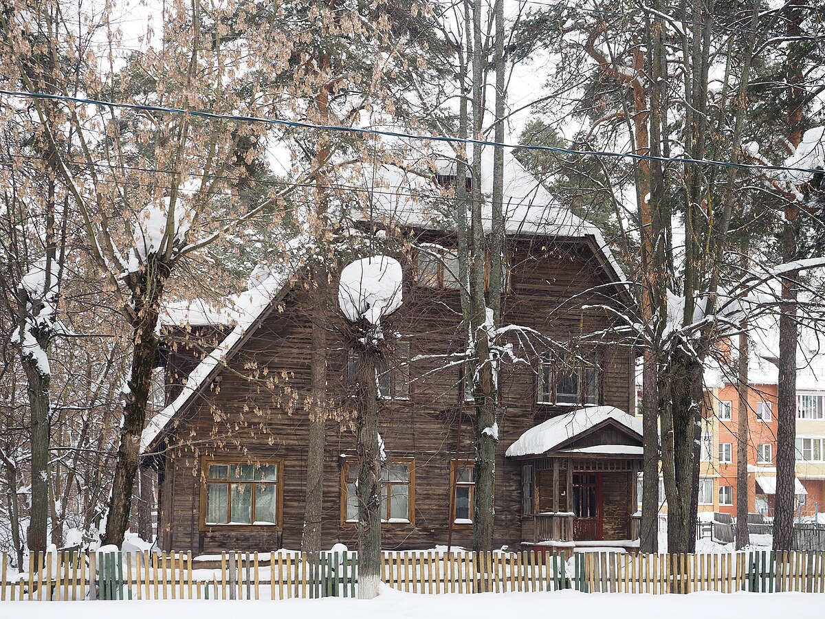 Нижегородская электрогорск