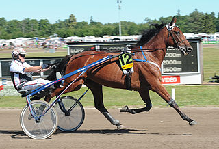 <span class="mw-page-title-main">Erik Berglöf (curler)</span> Swedish harness racer and male curler