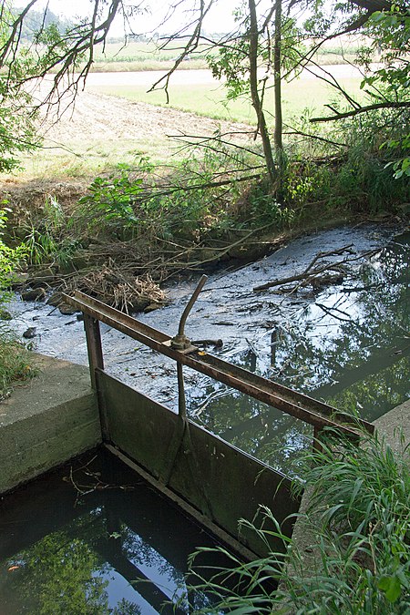 Erlenbach Abzweig Mühlkanal Haldenhof