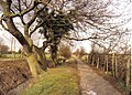 A field near Eton Wick in 1986 .