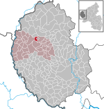 Euscheid