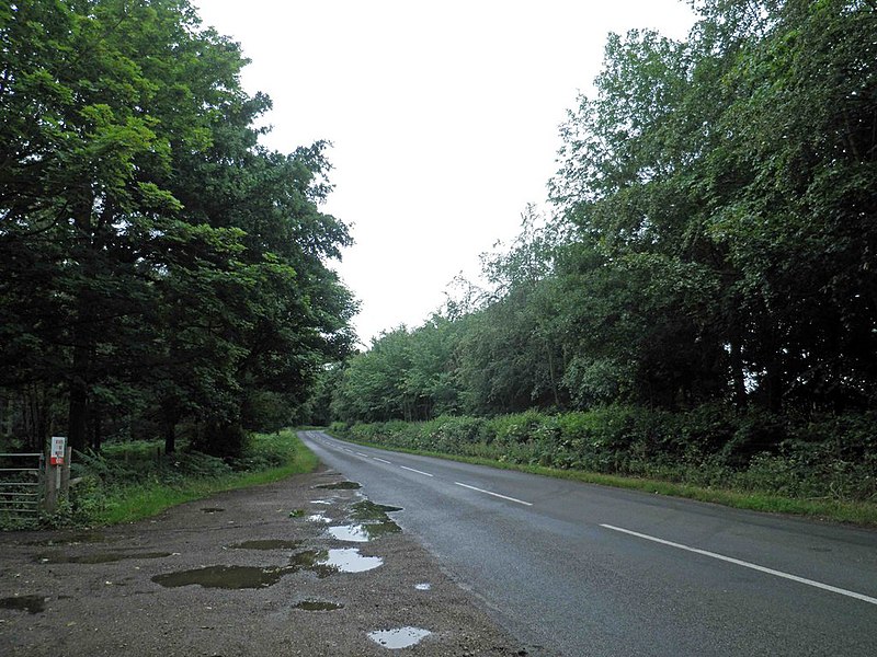 File:Everton Road and Sandy Woods - geograph.org.uk - 2458722.jpg