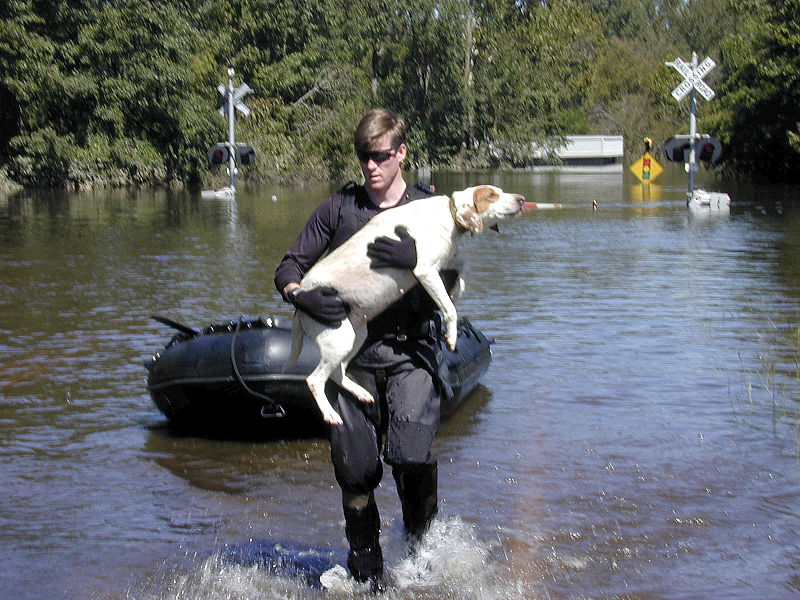 File:FEMA - 194 - Photograph by Dave Saville taken on 09-23-1999 in North Carolina.jpg