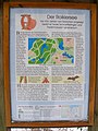 Infotafel am Roikier-See in Wald Tremmerup