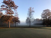 3rd Green at the Farmville Golf and Country Club FV GOLF 11 19 2020.jpg