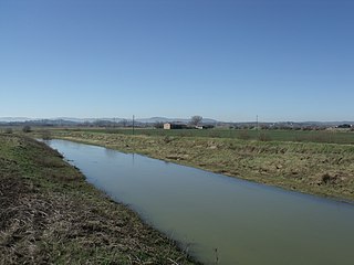 <span class="mw-page-title-main">Chiani</span> River in Italy