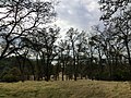 Folsom Lake 3630 - panoramio.jpg