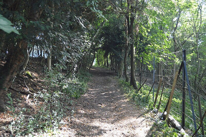 File:Footpath up Lambridge Hill - geograph.org.uk - 5968716.jpg