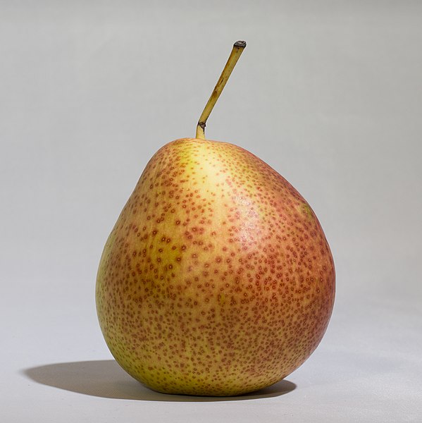 File:Forelle pear.jpg