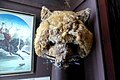 Fox mask on display in the Museum of Witchcraft and Magic in Boscastle, Cornwall.