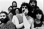 Миниатюра для The Mothers of Invention