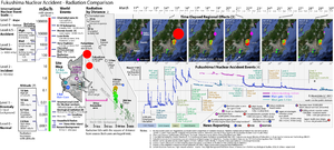 Fukushima Nuclear Accident