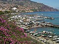 Funchal`s marina.