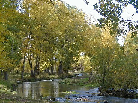 Գետիկ (գետ)