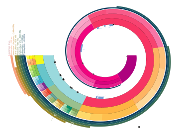 The geologic time scale represented as a log-spiral