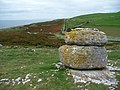 Glacial erratics on the Great Orme - geograph.org.uk - 2233514.jpg