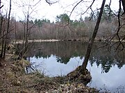 Goślicki Staw koło opuszczonej osady Goślice (Vogelsang)