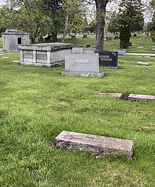 Grave of Albert Clifton Ammons (1907–1949) at Lincoln Cemetery, Blue Island, IL 1.jpg