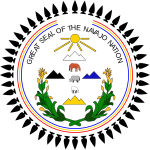 Vice President Of The Navajo Nation