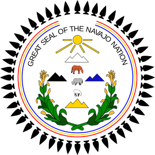 <span class="mw-page-title-main">Navajo Nation Council</span> Branch of the Navajo Nation government