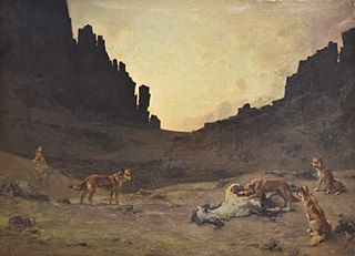 Chiens du Douar dévorant un cheval mort dans les gorges d'El Kantara