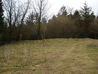 <span class="mw-page-title-main">Hardwell Castle</span> Hillfort in Compton Beauchamp, Oxfordshire