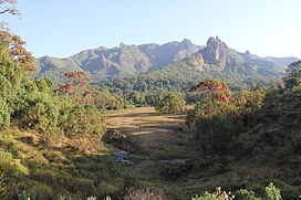 Harenna Forest (16112269010).jpg