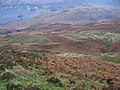 Hillside below Cruach - geograph.org.uk - 590639.jpg