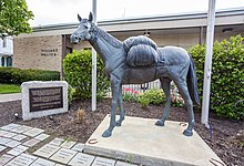 A memorial to Sullivan's pack horses in the village of Horseheads, New York Horse monument in Horseheads, New York.jpg