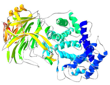 Ialuronoglucosaminidasi