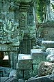 Angkor: Ta Prohm