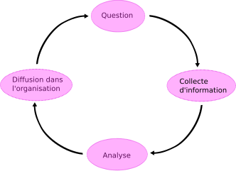 Schéma du cycle du renseignement.