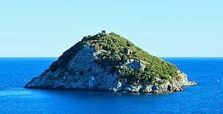 <span class="mw-page-title-main">Bergeggi (island)</span> Island off the coast of Savona, Liguria, Italy