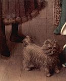 Detail of the dog Jan van Eyck 009.jpg