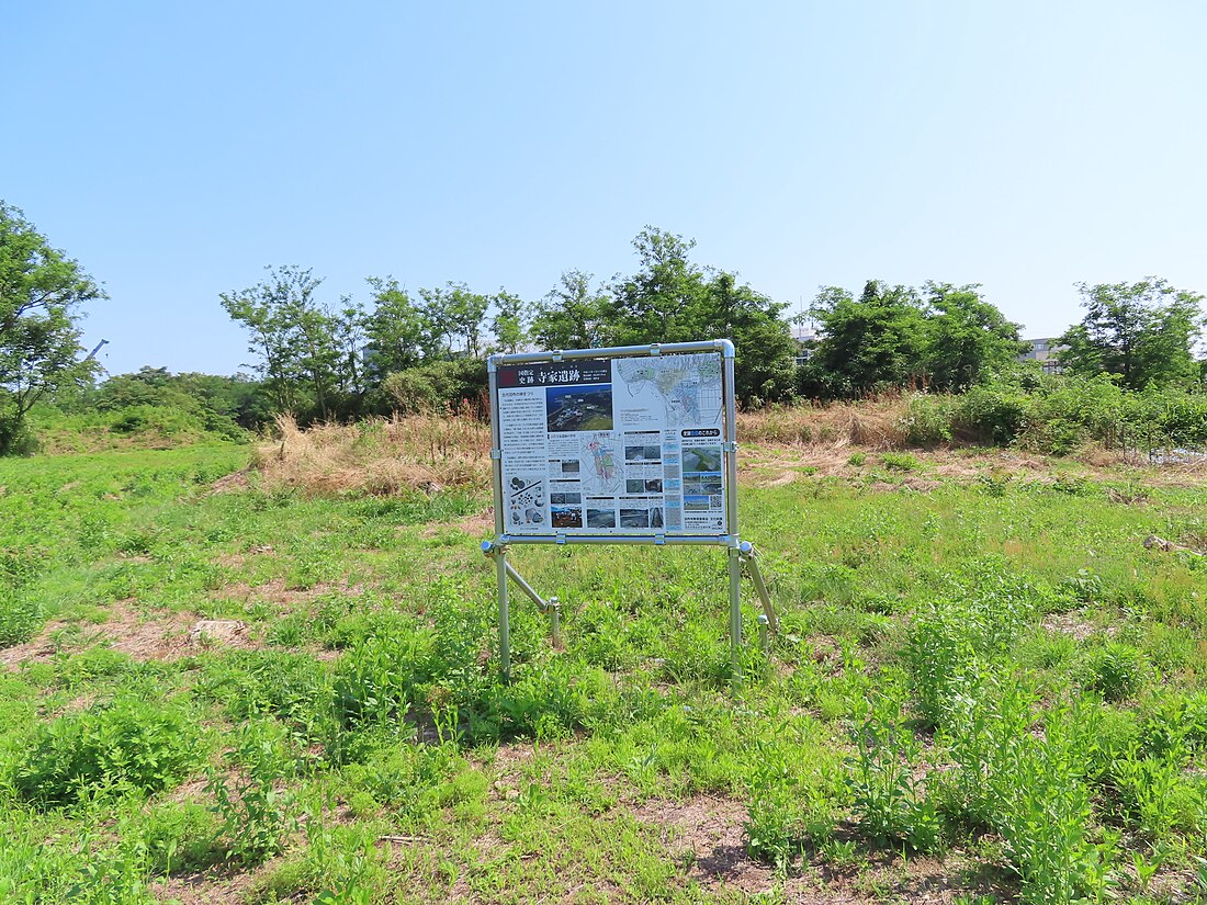 寺家遺跡