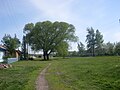 Wiese vor einer Häuserzeile in der Schewtschenko­straße