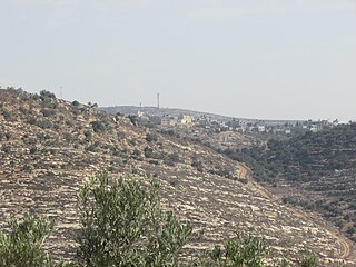 <span class="mw-page-title-main">Qaryut</span> Palestinian village in Nablus, West Bank