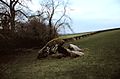 Kilgraney Portal Tomb.jpg