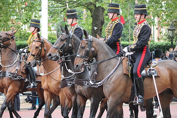 The King's Troop, Royal Horse Artillery, at Trooping the Colour, in 2012