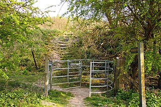 Watlington Chalk Pit