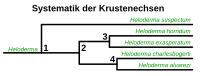 Systematik der Krustenechsen