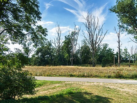 Kloeden Elbaue Wallanlage