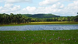 Lagoa dos Bangües.JPG