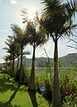 Lake Bunyonyi