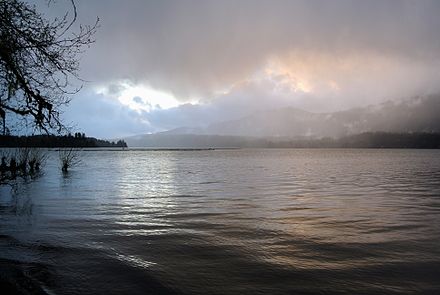 Lake Quinault in the mist