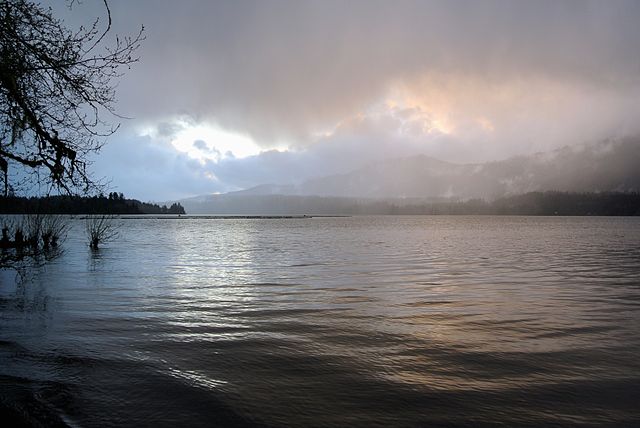 Olympic National Forest- Wikipedia